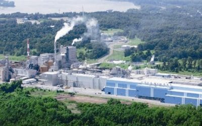 Phoenix Paper completes 5M recommissioning project for Pulp Dryer.